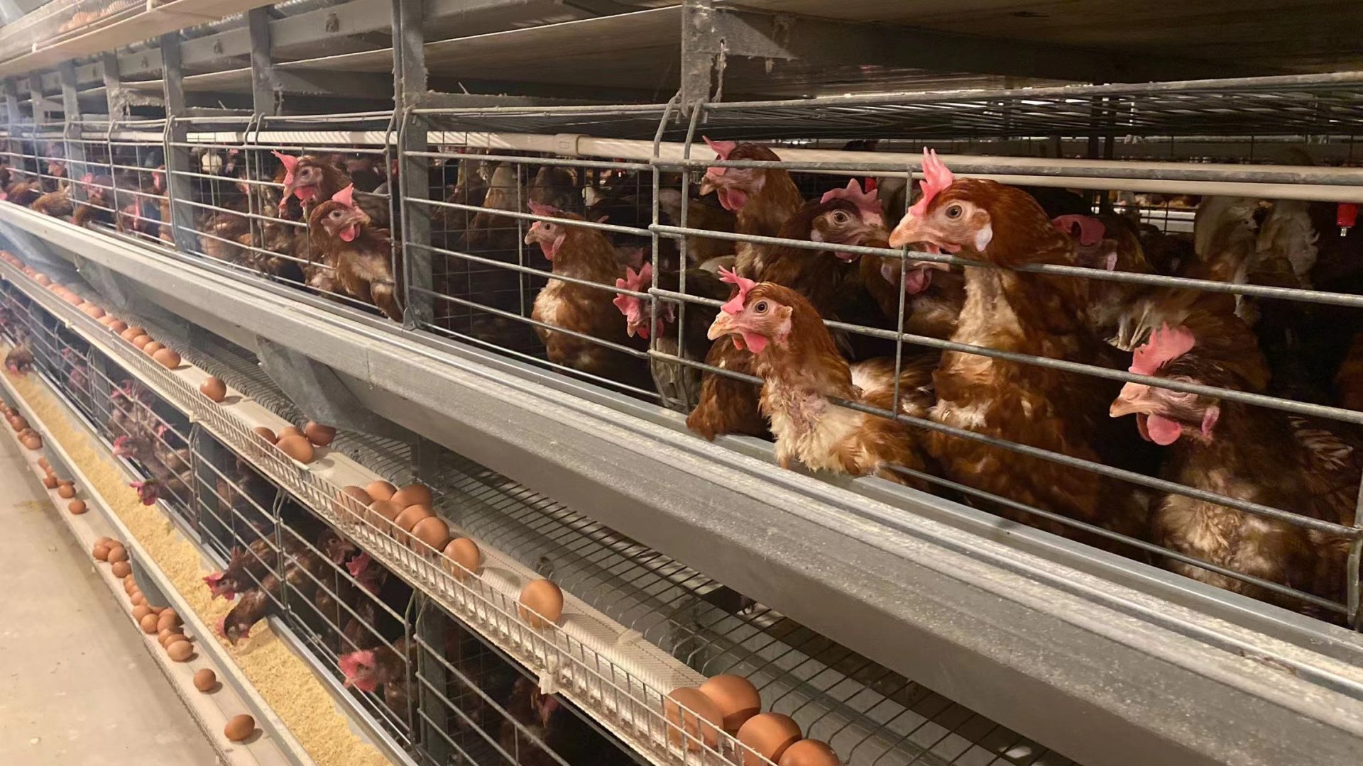 752220e3e70c68520abf72f31504c8d 752220e3e70c68520abf72f31504c8d