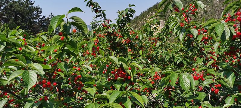 mmexport1621657105454