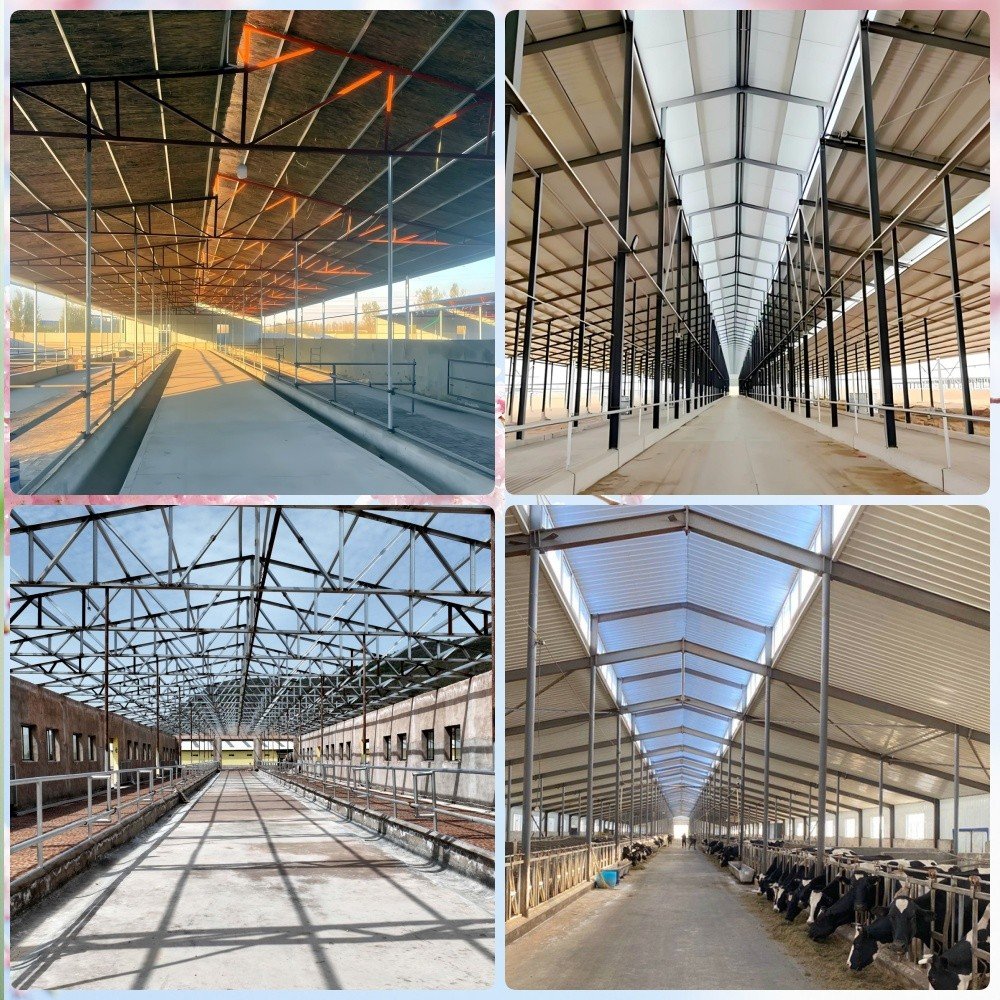 0e339875cc69fb83c7365b910161322f_副本