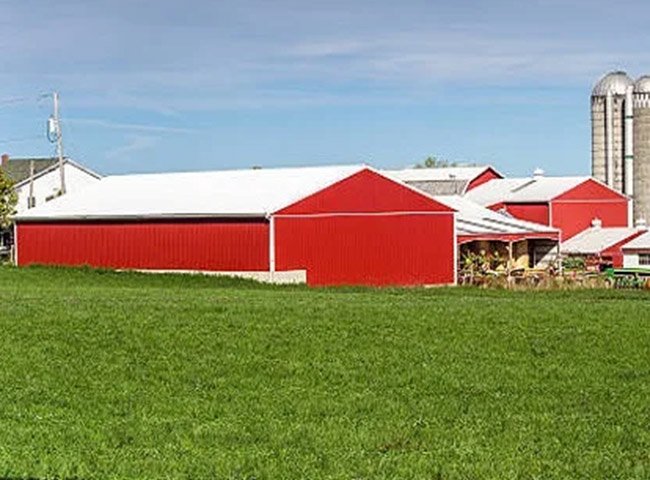 Prefabricated Steel Structure Chicken House