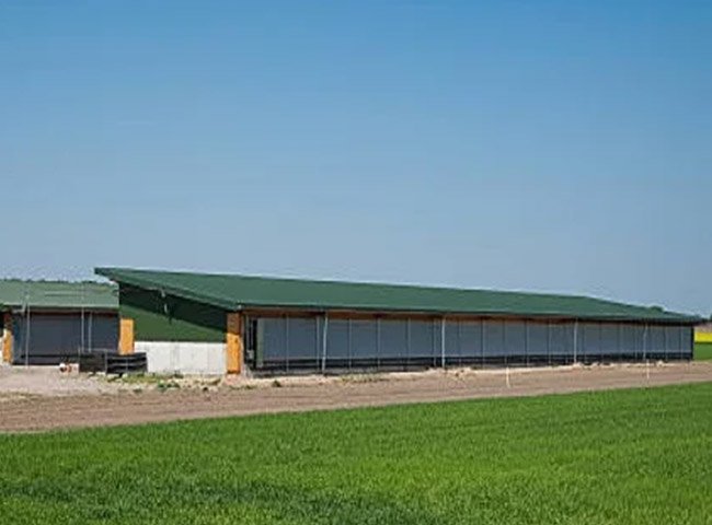 Prefabricated Steel Structure Chicken House for Poultry Farm