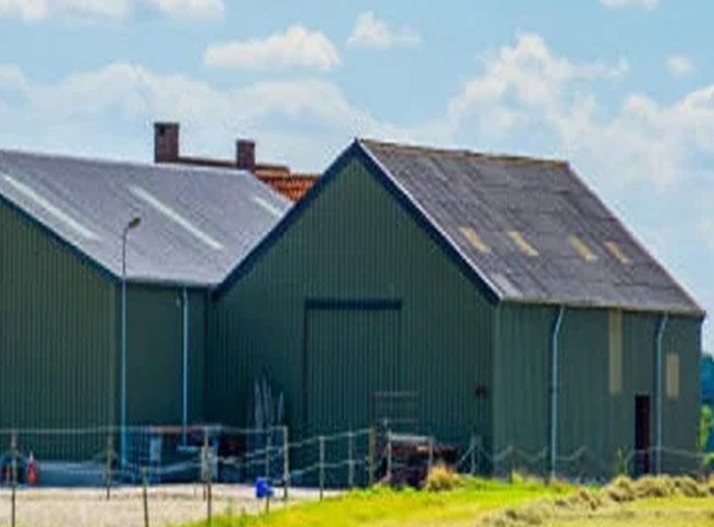 Low price cow barn solution