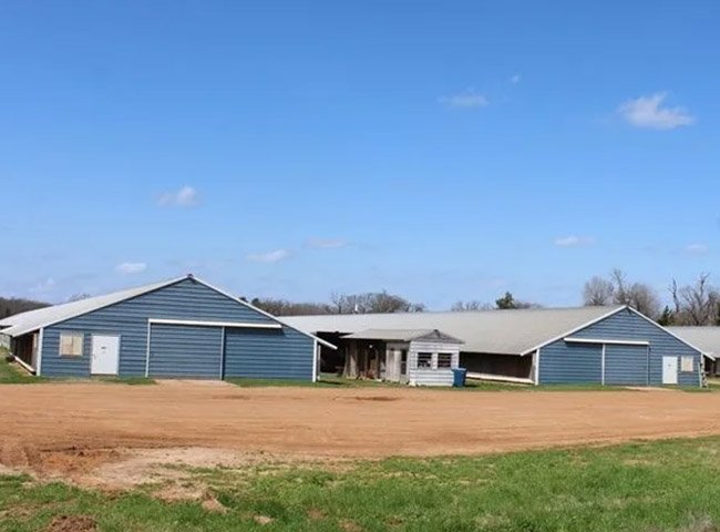 Prefabricated Steel Structure Chicken House