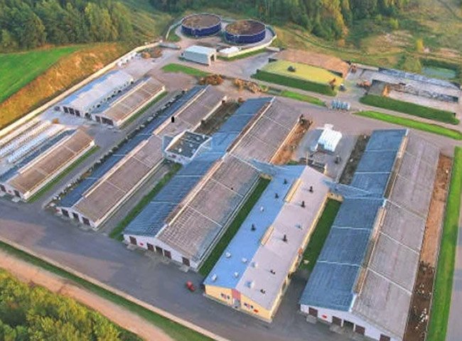 Low price cow barn solution