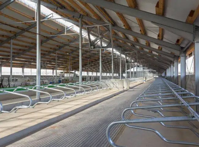 Prefab cow dairy shed light frame