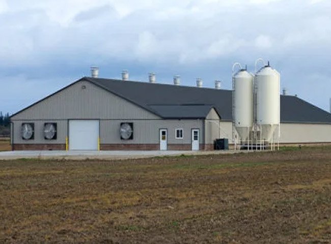 Prefabricated Steel Structure Chicken House for Poultry Farm