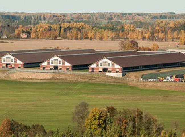 Prefabricated Steel Structure Chicken House
