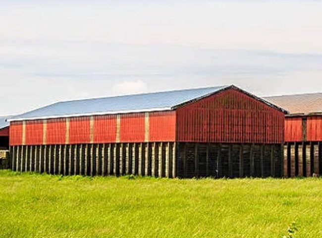 Prefab cow dairy shed light frame