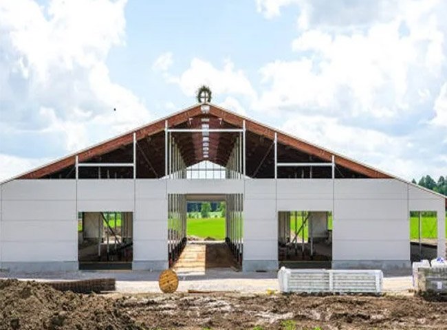 Low price cow barn solution