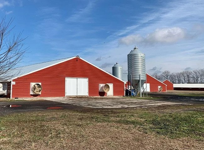 Prefabricated Steel Structure Chicken House