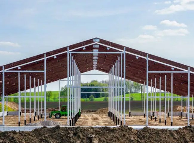 Prefab cow dairy shed light frame