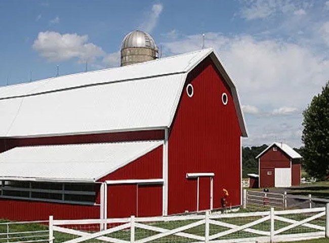 Prefabricated Steel Structure Chicken House