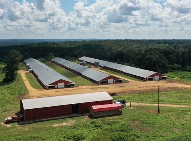Prefab cow dairy shed light frame