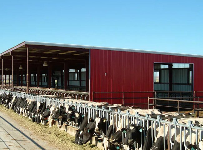 Affordable steel structure barn