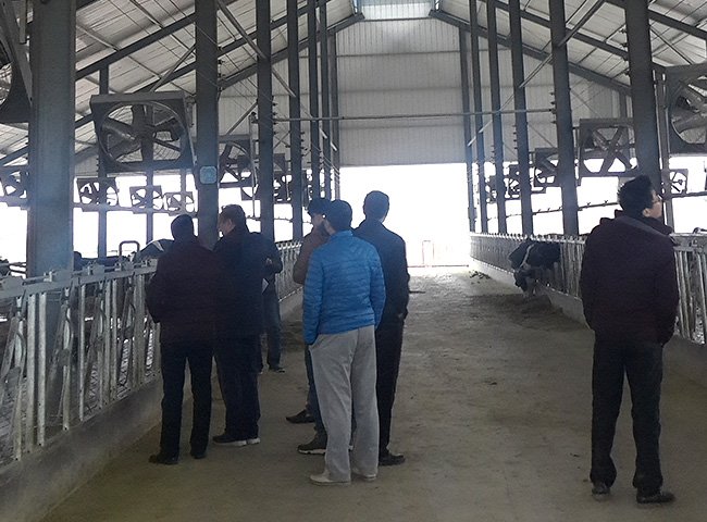 Affordable steel structure barn