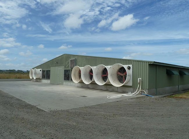 Modern Broiler Equipment Poultry Shed Design Chicken Farm Steel Structure
