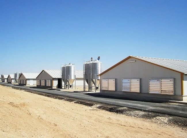 Commercial Chicken Broiler Poultry Farm Building Steel Structure