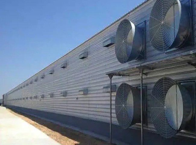 Prefabricated Steel Structure Poultry House Chicken Farm