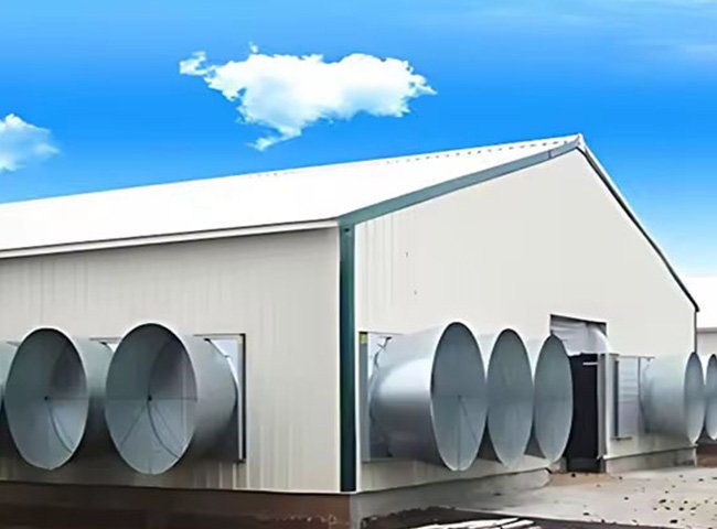 Commercial Chicken Broiler Poultry Farm Building Steel Structure