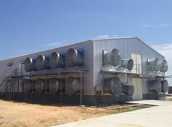 China Prefabricated Steel Structure Poultry House Chicken Farm Building