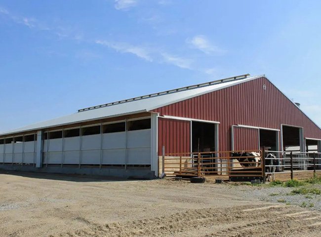 China Low Cost Steel Structure Dairy Cow Farm Shed