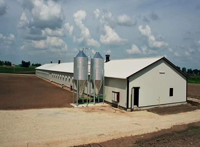 Modern Broiler Equipment Poultry Shed Design Chicken Farm Steel Structure
