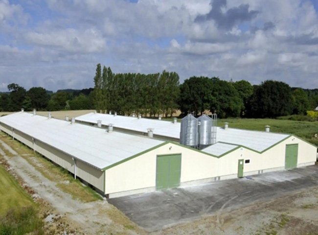 Cheap Prefab Steel Structure Poultry Farm Shed Chicken Farm House Building