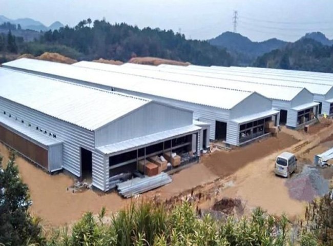 China Prefabricated Steel Structure Poultry House Chicken Farm Building