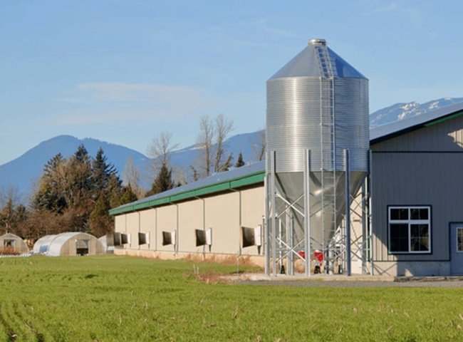 Commercial Chicken Broiler Poultry Farm Building Steel Structure