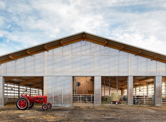 China Low Cost Steel Structure Dairy Cow Farm Shed