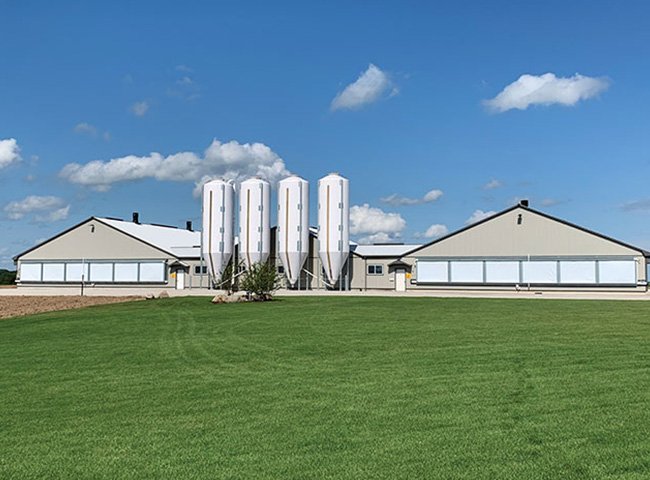Cheap Prefab Steel Structure Poultry Farm Shed Chicken Farm House Building
