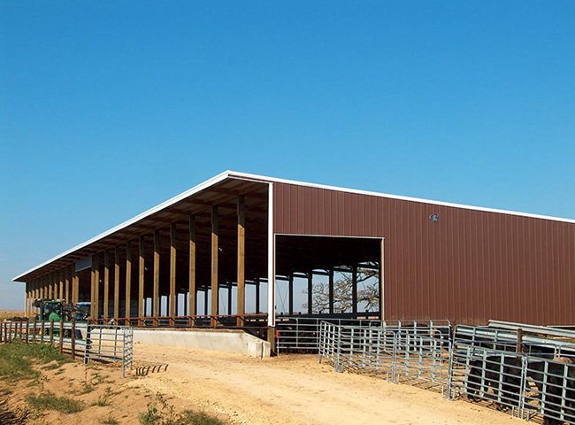 Light frame cow shed structure