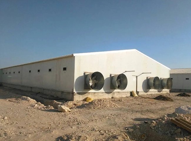 Prefabricated Steel Structure Poultry House Chicken Farm