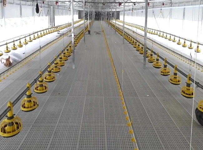 Cheap Prefab Steel Structure Poultry Farm Shed Chicken Farm House Building