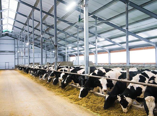 Affordable steel structure barn