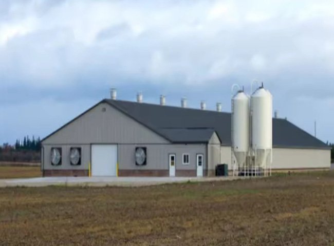 Modern Broiler Equipment Poultry Shed Design Chicken Farm Steel Structure