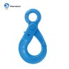 G100 EYE SELF-LOCKING HOOK