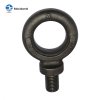 DYNAMO EYEBOLTS