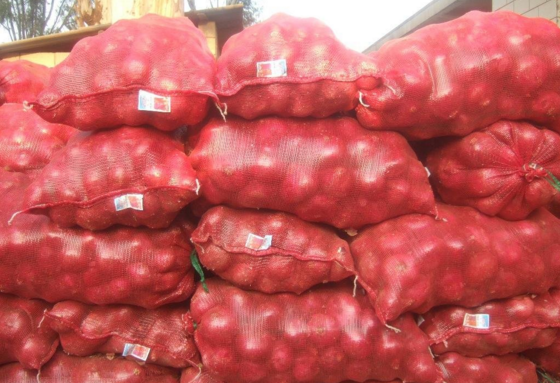 Erica-31-mesh bags 1