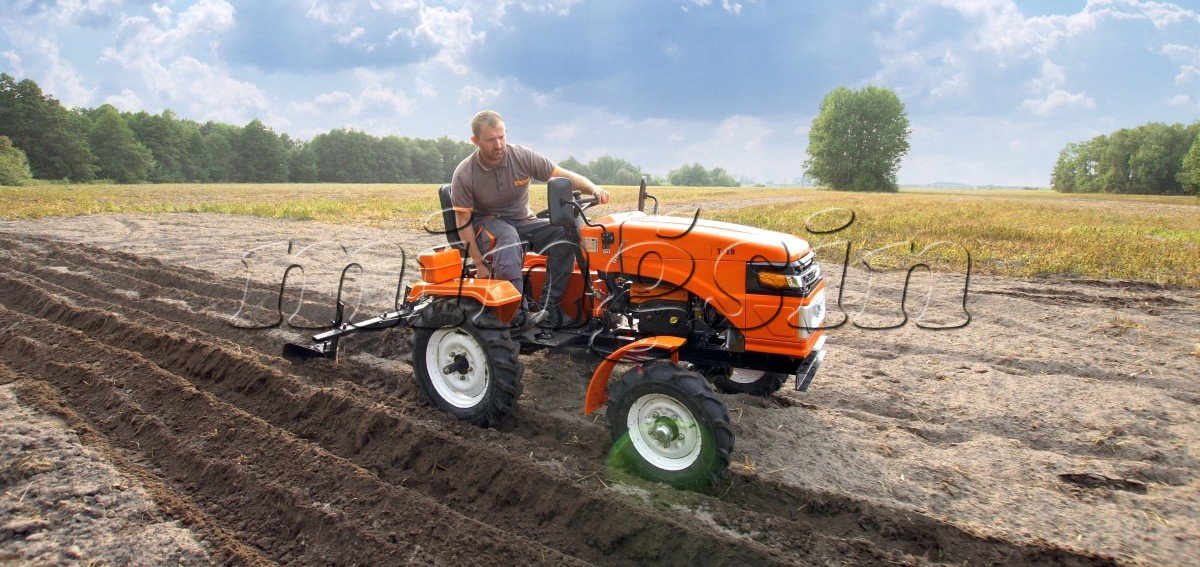 MS240 Tractor-74 (8)