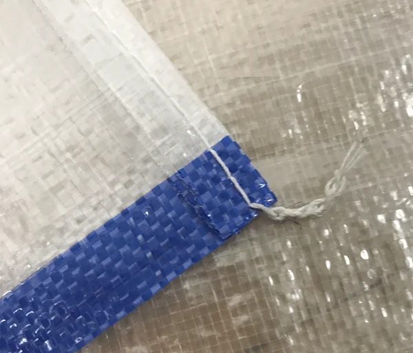 Transparent PP Woven Bags 3