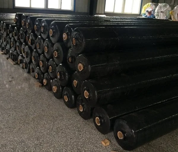 UV Protection High Density Sulzer Looms Polypropylene Woven Geotextile Fabric Weed Membrane for Outdoor Use 6