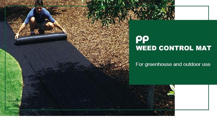 weed mat-02
