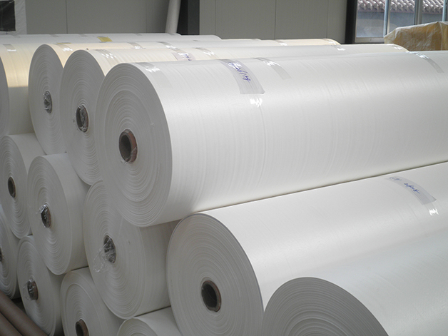 PP Woven Fabric