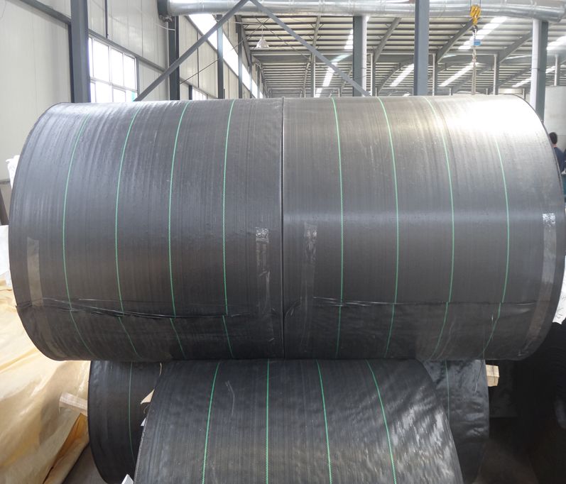 Weed Control Fabric