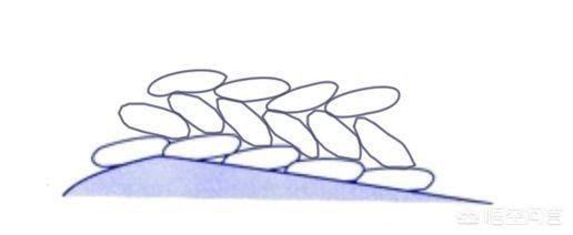 1e06d0005bd1f29a57799