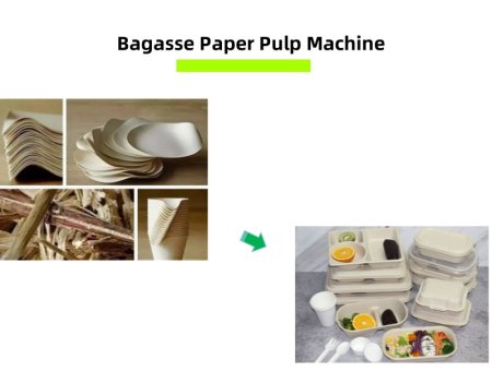 Sugarcane Bagasse Pulp Mill: Green Innovation In Waste Conversion