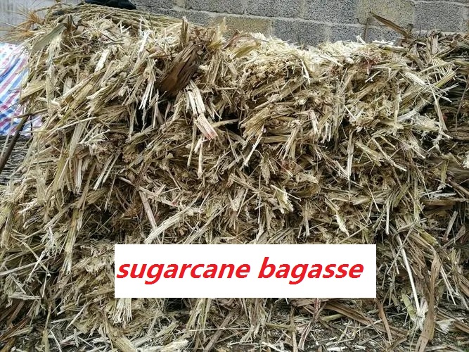 Bagasse Food Container Machine Bagasse Food Container Machine