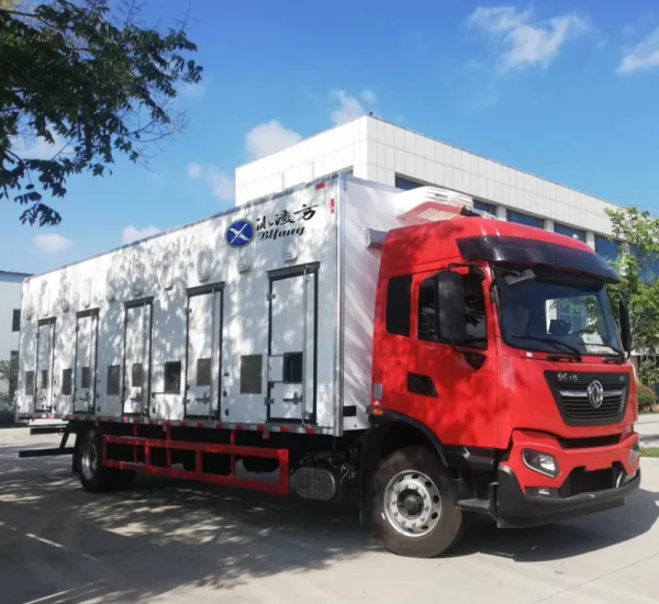 Faw Chicken transport vehicle Truck for transport day old chickens