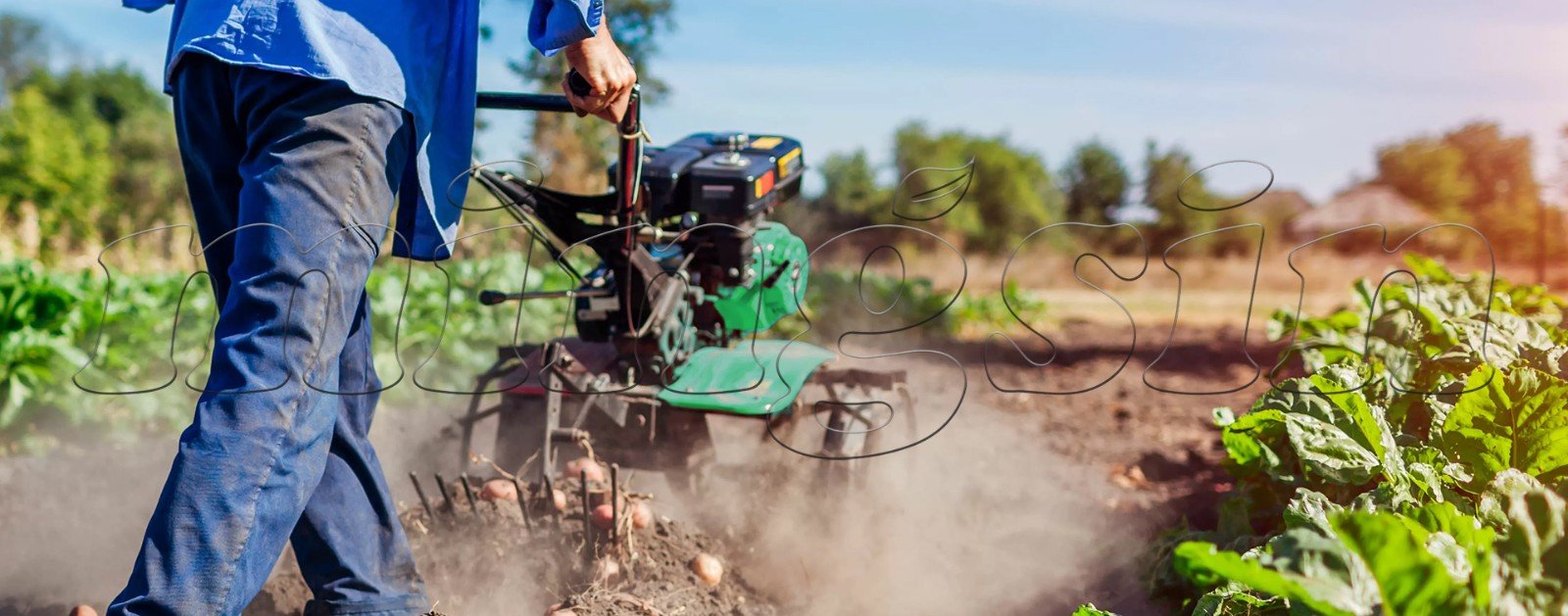 Tiller GT900A-10-CN-TRACTOR